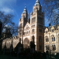 Summer Vibes - Single - Funky Z