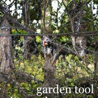 Garden Tool (feat. Caligula) - Single - 4D3N