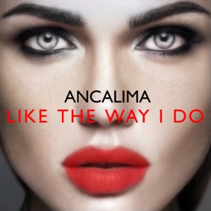 Like the Way I Do (Extended Mix)