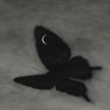 Plastic Butterflies - Single