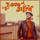 Johnny Burgos - Love Bird