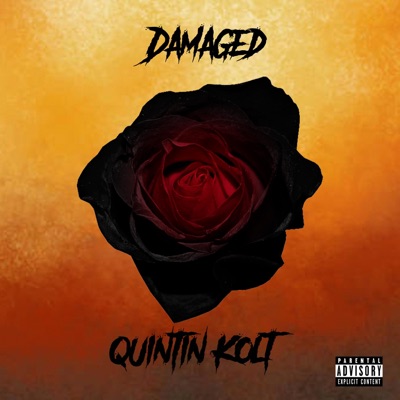 Damaged - Single