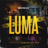 Luma (feat. Duncan & K-Yos) artwork