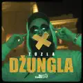 Dzungla
