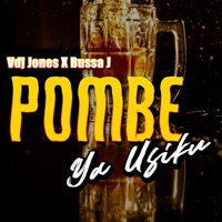 Pombe Ya Usiku - Single - VDJ Jones & Bussa J