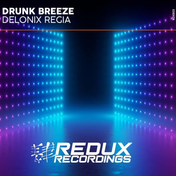 Delonix Regia - Single