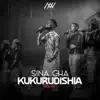 Sina cha kukurudishia