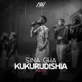 Sina cha kukurudishia