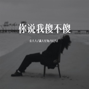 你说我傻不傻 - Single