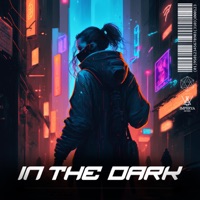 In the Dark - Single - Reverence & Kyneps