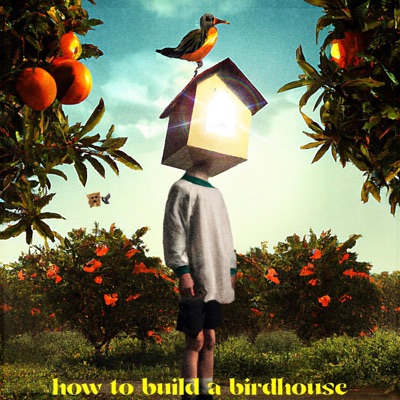 How to Build a Birdhouse