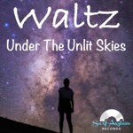 Surf Asylum Records - Waltz Under the Unlit Skies (feat. Colin Turner)