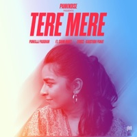 Tere Mere (feat. Savni Bhatt) - Single - Pankaj Padghan