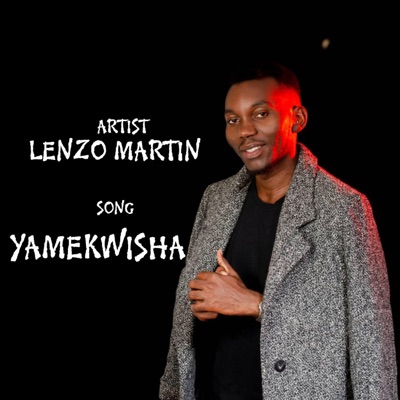 Yamekwisha - Single
