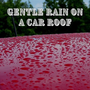 Gentle Rain on a Car Roof