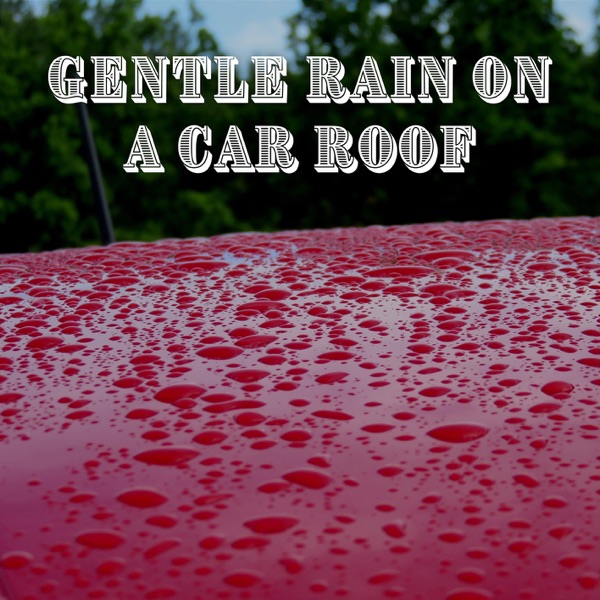 Gentle Rain on a Car Roof
