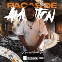 Pacas De Amonton - Single - Niño Armado