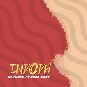 Indoda (feat. Cool Easy)