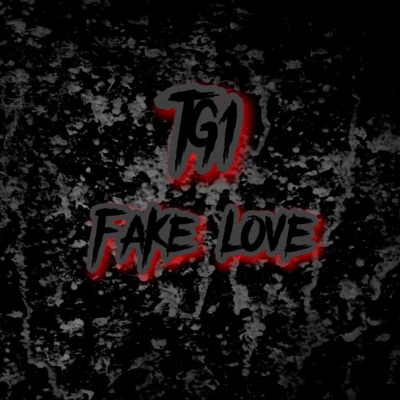 Fake Love - Single