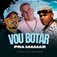 Vou Botar pra Mamar - Single - Mc Tchulin, MC Wl & Lorinho Mestre