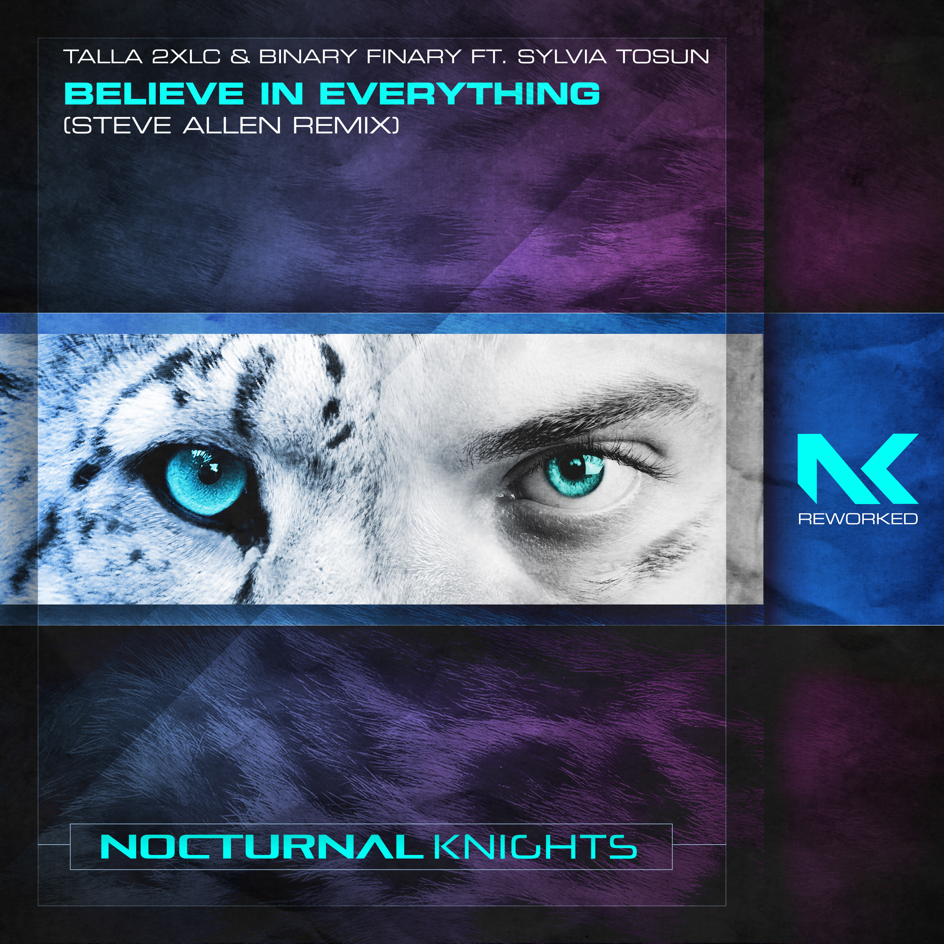 Believe in Everything (feat. Sylvia Tosun) [Steve Allen Remix] - Single