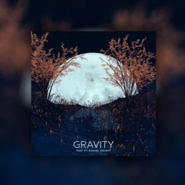 Gravity (feat. Inoy) Dan Knight