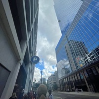 Indica - Single - MattEye