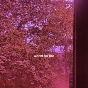 World On Fire - Single