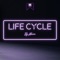 Life Cycle artwork