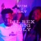 Lil Rex (SUM 2 SAY) (feat. BIG HOLY) - IAMLILREX lyrics