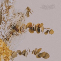 flores secas - EP - blvckned