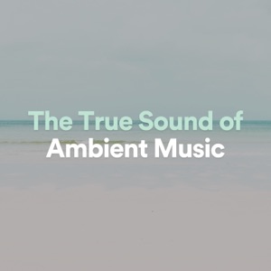 The True Sound of Ambient Music