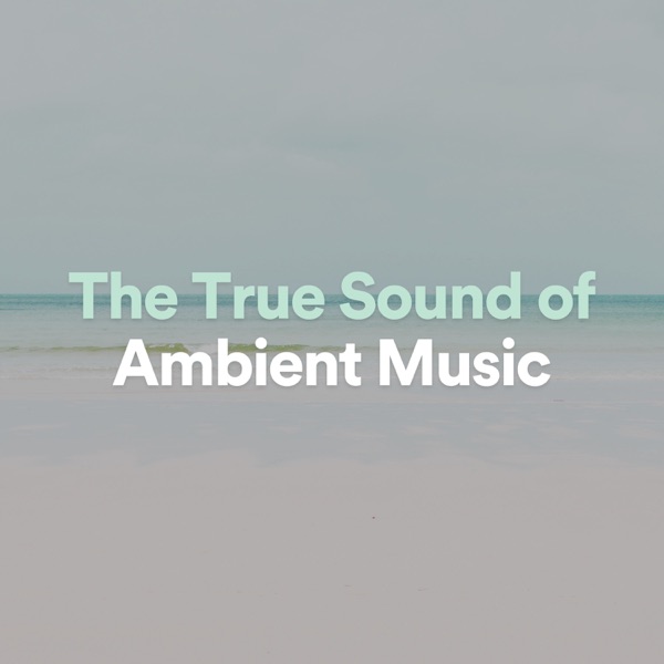 The True Sound of Ambient Music