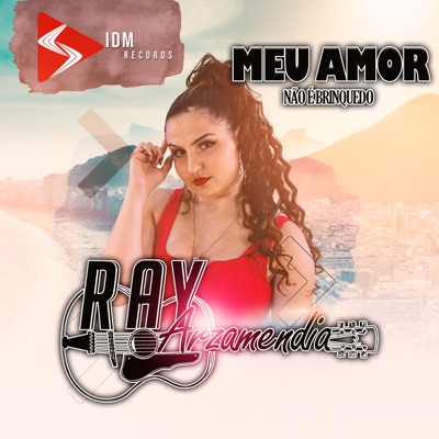 Meu Amor Não é Brinquedo - Single