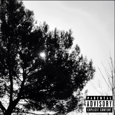 PALM ANGELS - Single