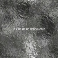 La vida de un delincuente - Single - La Doble M