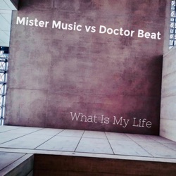 What Is My Life (Mister Music vs. Doctor Beat) [Instrumental Mix]