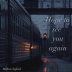 Hope To See You Again