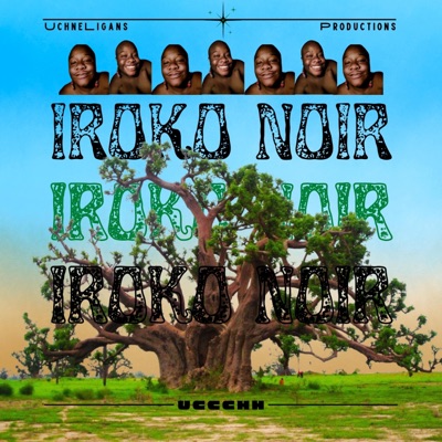 IRoko noIR