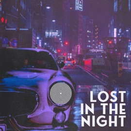 Lost In the Night (Extended mix) DE SOFFER