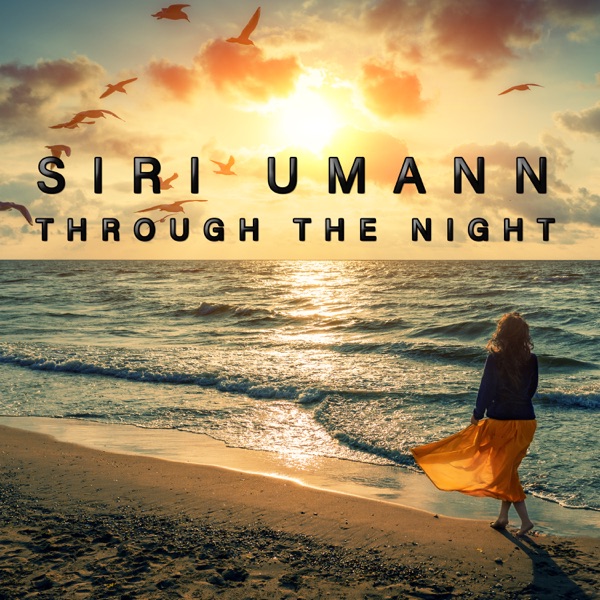Through the Night - Single