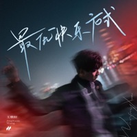最优快乐方式 - Single - 王敬轩