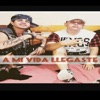 A Mi Vida Llegaste - Single (feat. Maniako) - Single