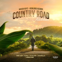 Country Road Riddim (feat. ג'ימי ג'אן, איילו, ELROI, אבי מולה & Deep Jahi) - Single - NagashBeatz & אברהם איילאו