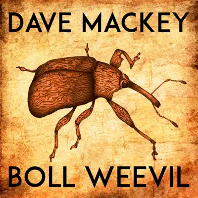 Ascolta 'Boll Weevil' di Dave Mackey
