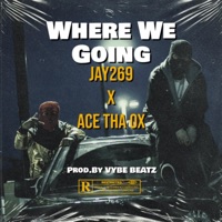 Where We Going (feat. Ace) - Single - Jay269
