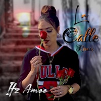 La Calle (Remix Version) - Single - Itz Amee