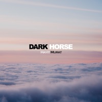 Dark-Horse - Single - Hayit Murat