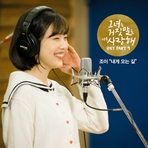 The Liar and His Lover, Pt. 9 (Original Television Soundtrack) - Single