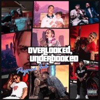 OverLooked, UnderBooked - Prynce Ink